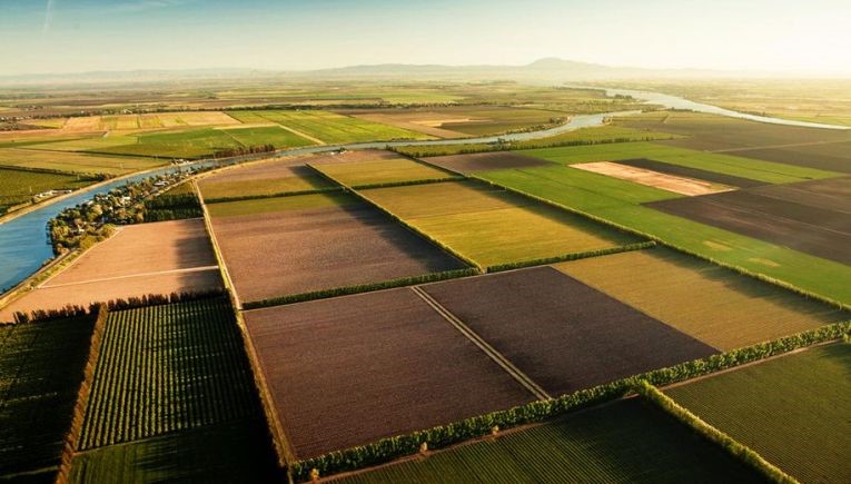 Εμπλέκονται σε απάτη επιδότησης αγροτεμαχίων